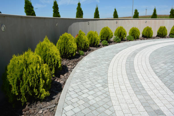 Best Residential Driveway Paver Services  in Brookwood, AL
